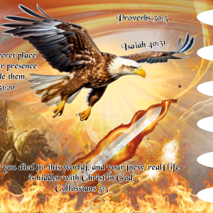 Hidden in Him
